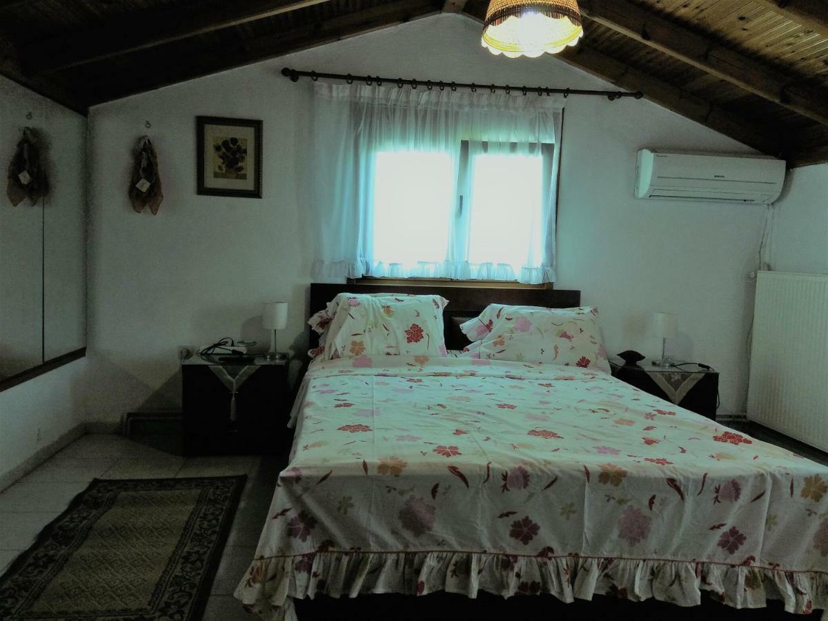 Family Seaside House In Mouries Villa Paralia Dionisiou Exterior foto